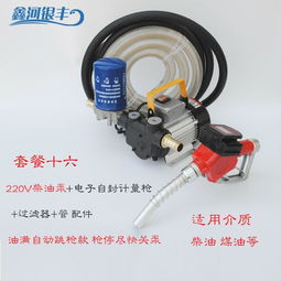 電動抽油泵12v24v220v汽油柴油加油泵車載防爆輸油泵手提式抽油機(jī),一品好特惠